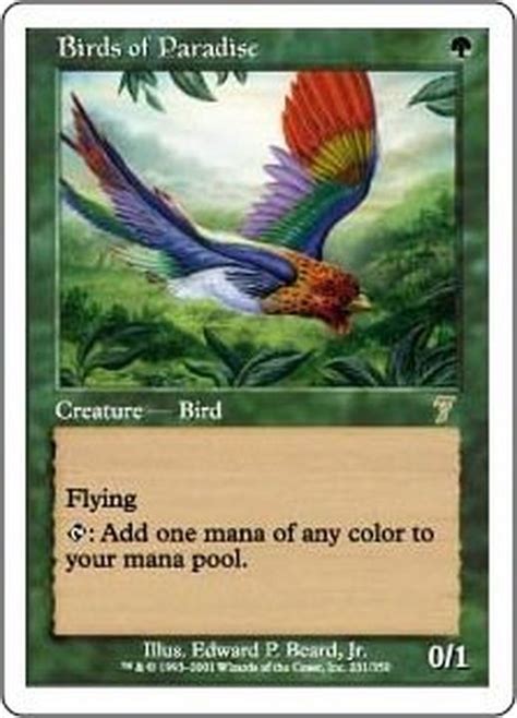 Mtg 極楽鳥 第8版 日本語 Foil トレーディングカード