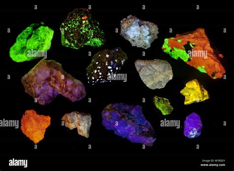 Various Fluorescent Minerals Under Uv Light Including Willemite