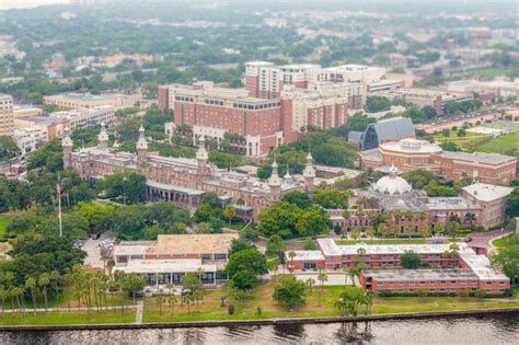 university  tampa campus