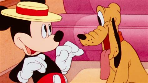 Donald Duck Cartoon Chip And Dale Mickey Mouse Pluto Cartoons