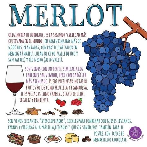 7 de Noviembre Día Internacional del Merlot Cabernet Sauvignon