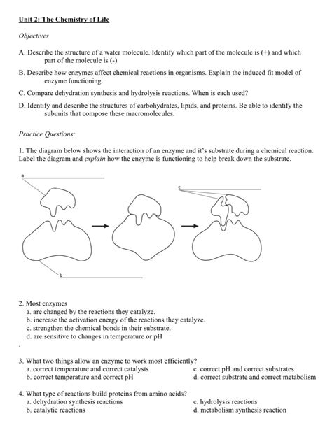 Solved Unit 2 The Chemistry Of Lifeobjectivesa ﻿describe