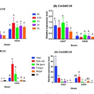 Spatiotemporal Expression Profiles Of Two Oxidoreductase Genes CmGMC10