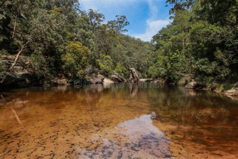 Glenbrook River stock photo. Image of national, wilderness - 83775154