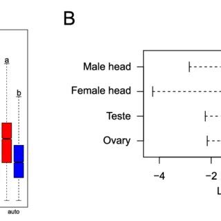 Neo Sex Chromosomes Of The Mountain Pine Beetle A Synteny Comparison