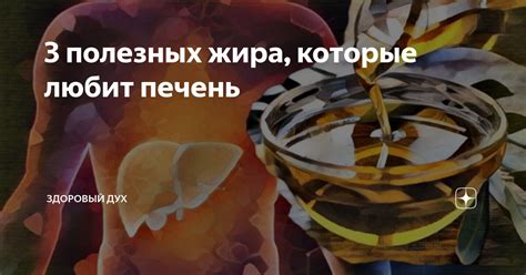 3 полезных жира, которые любит печень | Здоровый Дух | Дзен