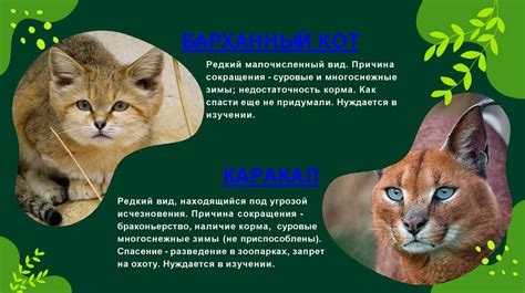 Как защитить животных Казахстана - презентация онлайн