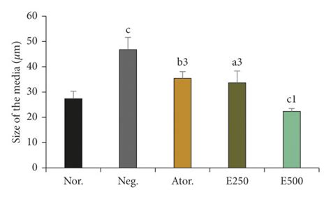 Effects Of Hydro Ethanolic Extract Of P Nigrum Leaf On The