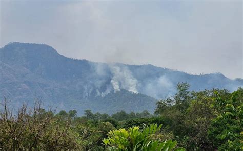 Incendios Forestales Provocan Enfermedades Oculares Y Alergias El Sol