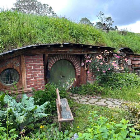 New Zealand: Untamed Landscapes | EF Go Ahead Tours