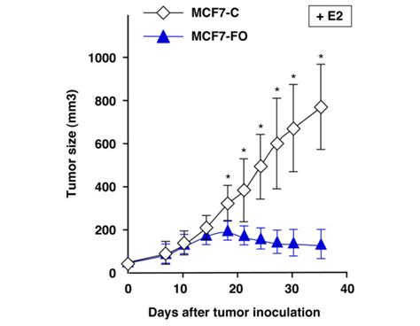 Ectopic Expression Of Foxo3a In Estrogen Dependent Breast Cancer Cells