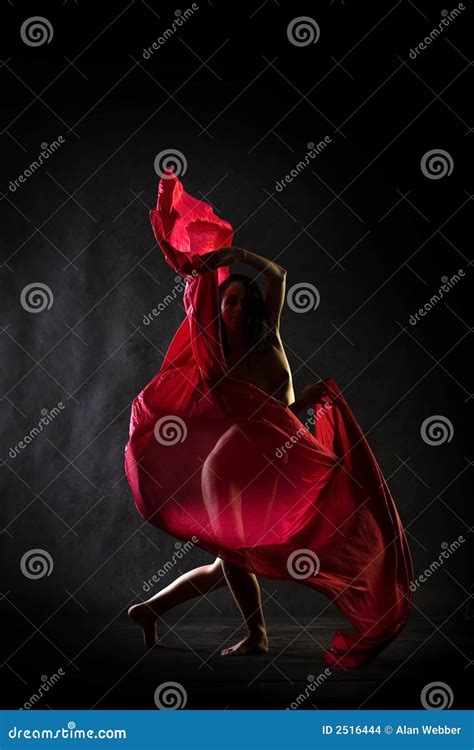 Nude De La Danza Foto De Archivo Imagen De Agraciado 2516444