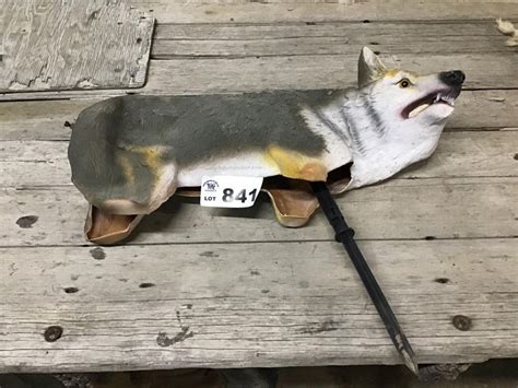 COYOTE DECOY | Live and Online Auctions on HiBid.com