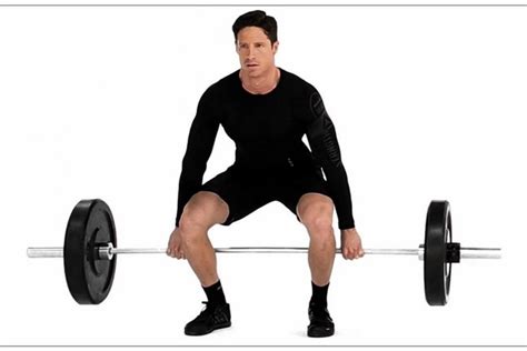 The Ultimate Guide to Barbell Hack Squats: Maximizing Your Lower Body ...