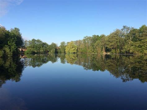 Yateley South Lake Scenery Farnham Angling Society