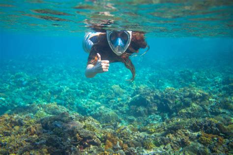 Tour por Los Cayos Cochinos el paraíso turquesa