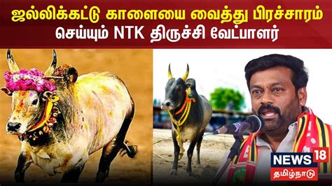 ஜல்லிக்கட்டு காளையை வைத்து பிரச்சாரம் செய்யும் Ntk திருச்சி வேட்பாளர்