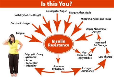 Insulin Resistance And How To Prevent It Diabetes Suport