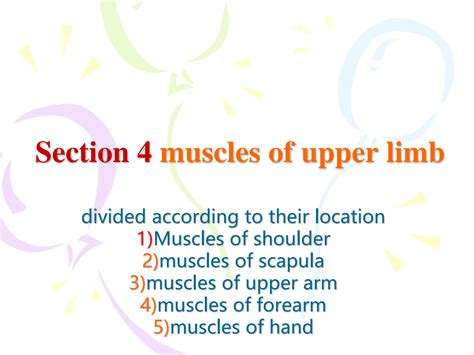 Solution Muscles Of Upper Limb Studypool