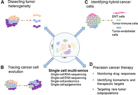 Frontiers Application Of Single Cell Multi Omics In Dissecting Cancer