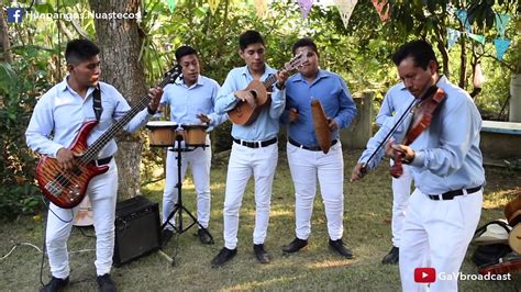 Cumbia Con Viol N Por Los Yolpakis La Abeja Miope Youtube