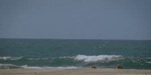 VIXEN Hot Spanish Girls Seduction Video 1 Porn Videos