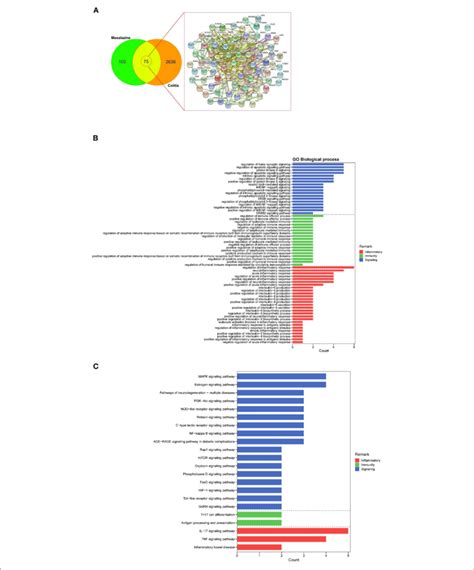 The Identification Of Mesalazine Mz And Ulcerative Colitis