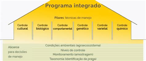 Como Fazer O Manejo Integrado De Pragas MIP Do Milho Agricultura Do