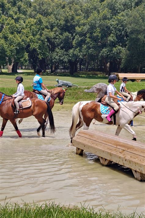 Horse Riding Lessons | Painted Oaks Academy