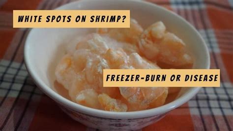 White Spots On Shrimp | Harmless Or Disease-Ridden?