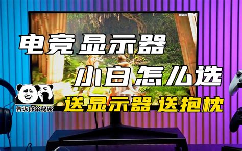 电竞显示器不会选？选啥选，看完我送你一台！ 哔哩哔哩