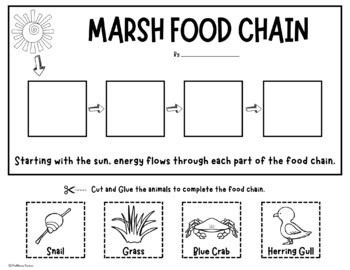 Marsh Food Chains - Activity and Word Wall Cards - Animal Food Chain