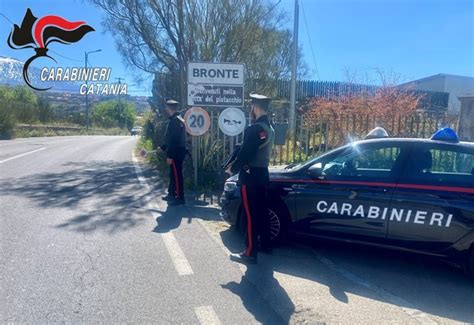 Assunto Da Poco Ruba Nel Reparto Macelleria Denunciato Dai Carabinieri