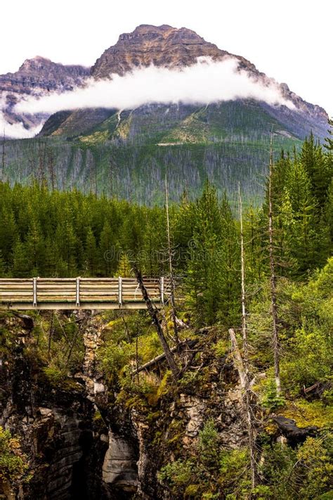 Bridge At Marble Canyon In Kootenay National Park British Columbia