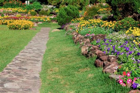 Jardín de paseo con luz solar. | Foto Premium