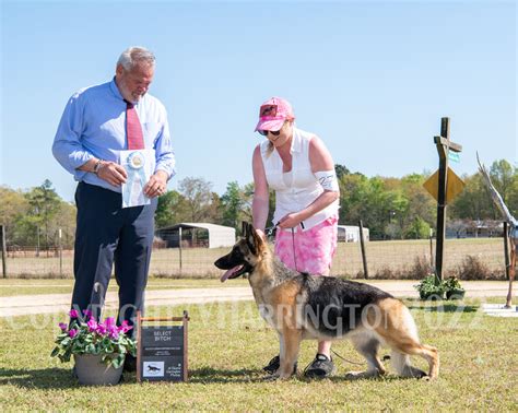 Valerie Harrington Photography Augusta Gsdc Judge Lance Deloria