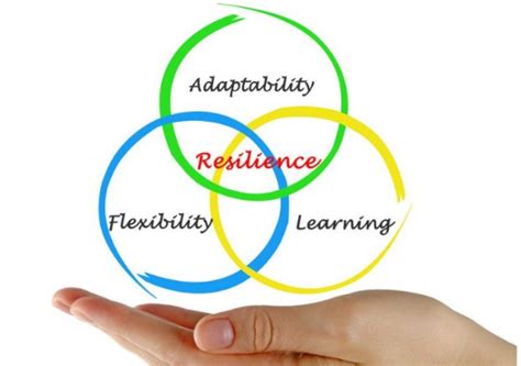 Emotional Intelligence And Personal Resilience Social Enterprise Kent Cic