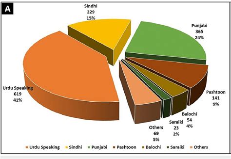 Graphical Representation Of The Ethnic Distribution Of Our Study