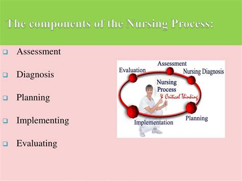 Components Of Nursing Process