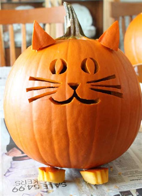 How To Carve A Kitty Jack O Lantern Kittens Whiskers