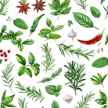 Seamless Pattern With Herbs And Spices Herbs Drawing Spices Drawing