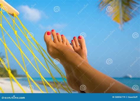 Woman Feet In Hammock On The Beach Stock Photo Image 50856779