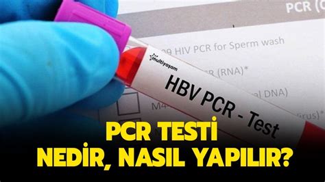 PCR testi nedir nasıl yapılır PCR testi kimler yaptırır