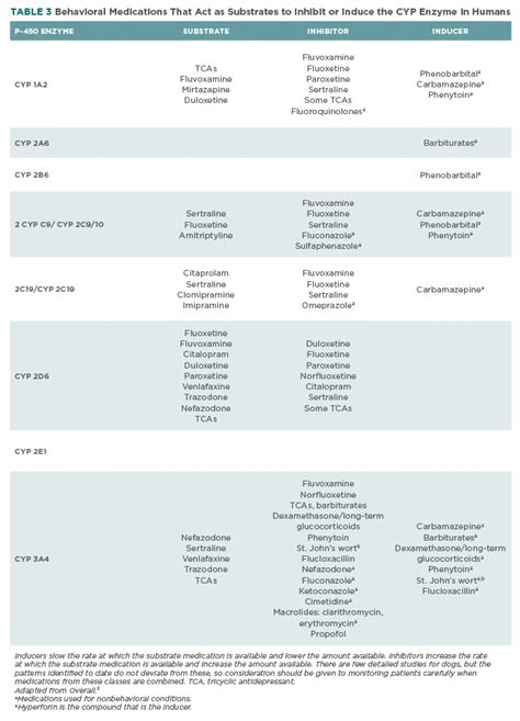 Veterinary Behavior Medications: Which Medication, Which Patient? - Today's Veterinary Practice