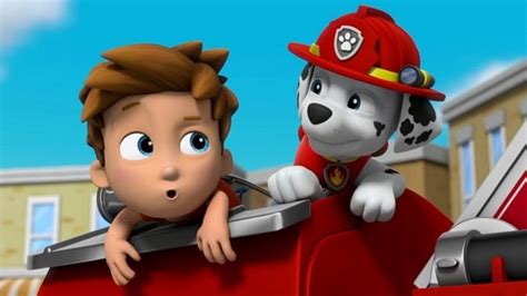 PAW PATROL SEASON 7: Release Date, Cast, Plot And Much More ...