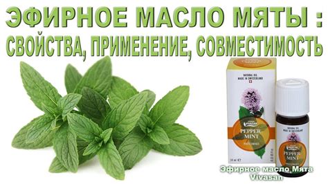 Эфирное масло мяты. Свойства, применение, совместимость - YouTube