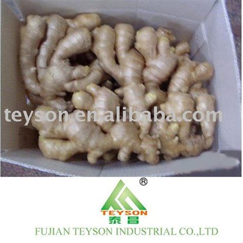 Organic Air Dried Gingerchina Teyson Price Supplier 21food