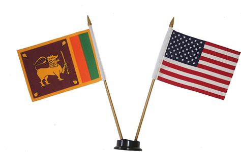 Amazon USA SRI LANKA Small 4 X 6 Inch Mini Double Country Stick