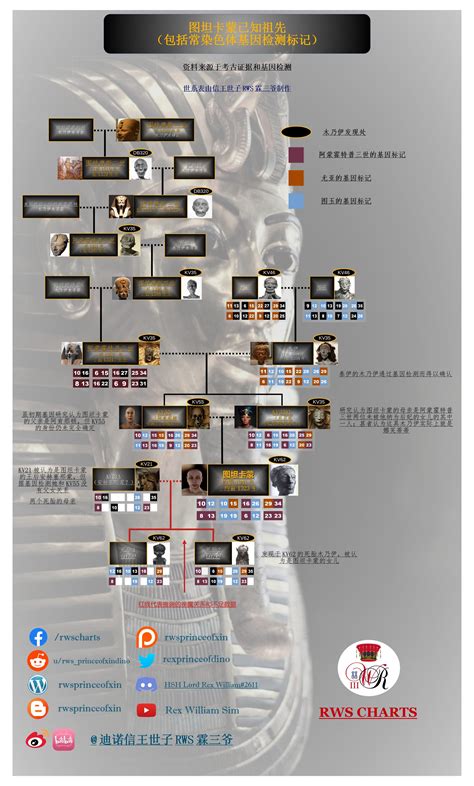 (LOGO FIXED) Known Ancestors of Tutankhamun : r/UsefulCharts