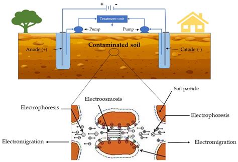 Applied Sciences Free Full Text Remediation Of Metal Metalloid